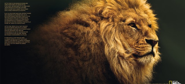 Nat Geo Wild : 4 somptueuses publicités qui défient Hollywood !