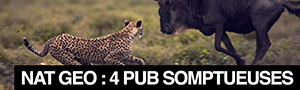 Nat Geo Wild : 4 somptueuses publicités qui défient Hollywood