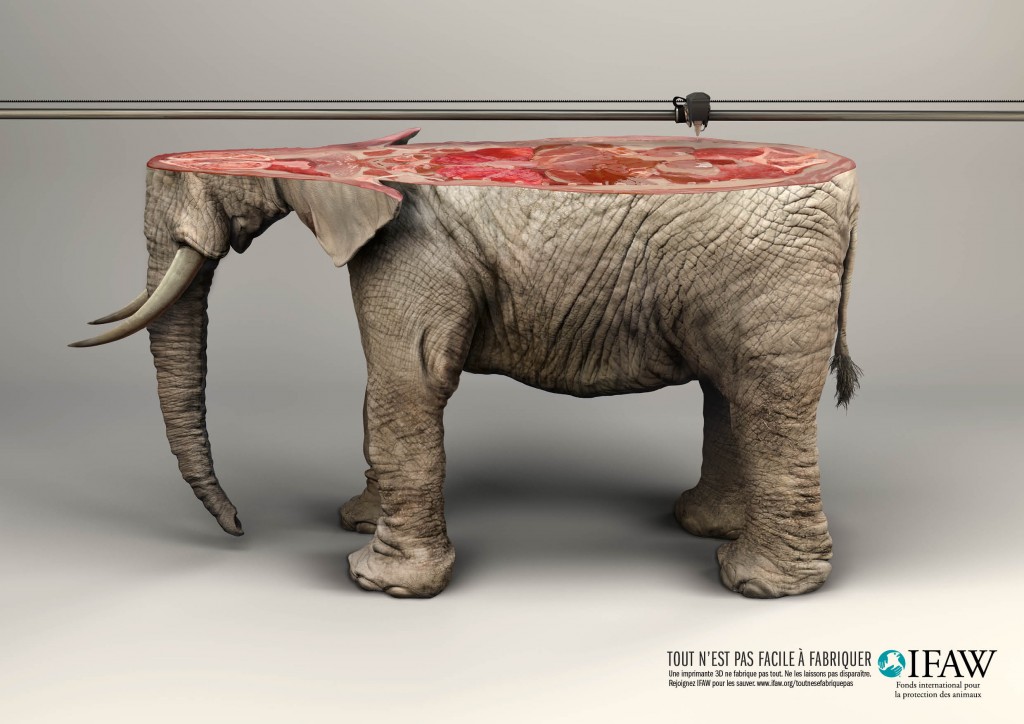 IFAW-International-Fund-for-Animal-Welfare-imprimante-impression-3D-print-printer-baleine-whale-elephant-publicite-communication-animaux-agence-young-rubicam-yr-paris-2