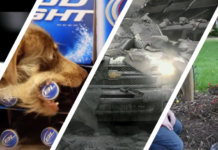 llllitl-super-bowl-2012-youtube-adblitz-5-best-commercials-meilleures-publicités-vote-nbc-sports21