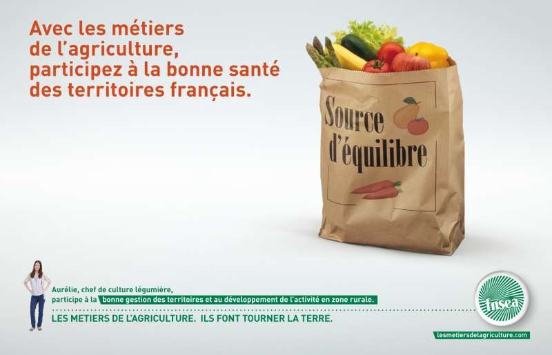 llllitl- FNSEA (Fédération Nationale des Syndicats d'Exploitants Agricoles-publicité-print-marketing-métiers-agriculture-agence-babel