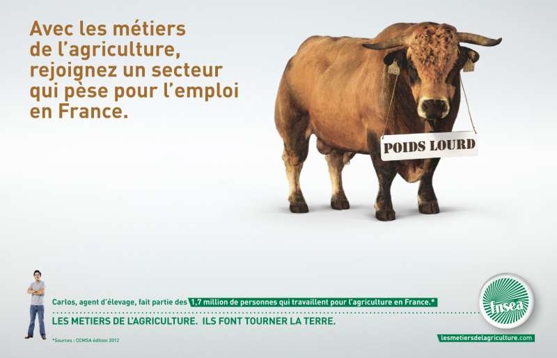 llllitl- FNSEA (Fédération Nationale des Syndicats d'Exploitants Agricoles-publicité-print-marketing-métiers-agriculture-agence-babel