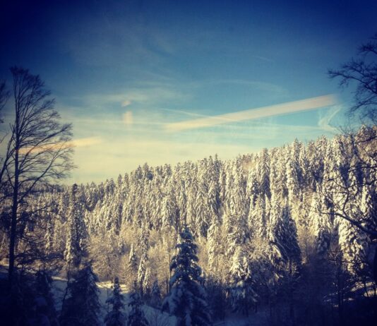 llllitl-cristal-festival-photos-vidéos-reportage-comme-si-vous-y-étiez-awards-crans-montana-7-1024x1024