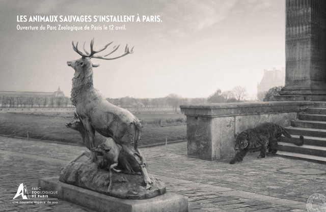 parc-zoologique-de-paris-zoo-vincennes-2014-ouverture-publicité-marketing-animaux-sauvages-agence-publicis-conseil-2