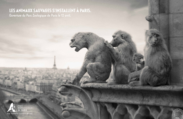 parc-zoologique-de-paris-zoo-vincennes-2014-ouverture-publicité-marketing-animaux-sauvages-agence-publicis-conseil-3