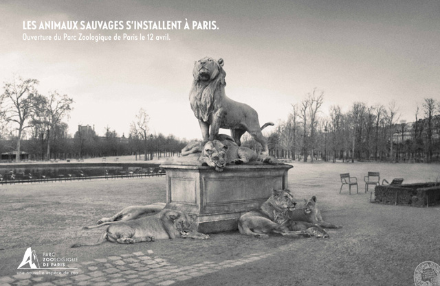 parc-zoologique-de-paris-zoo-vincennes-2014-ouverture-publicité-marketing-animaux-sauvages-agence-publicis-conseil-4