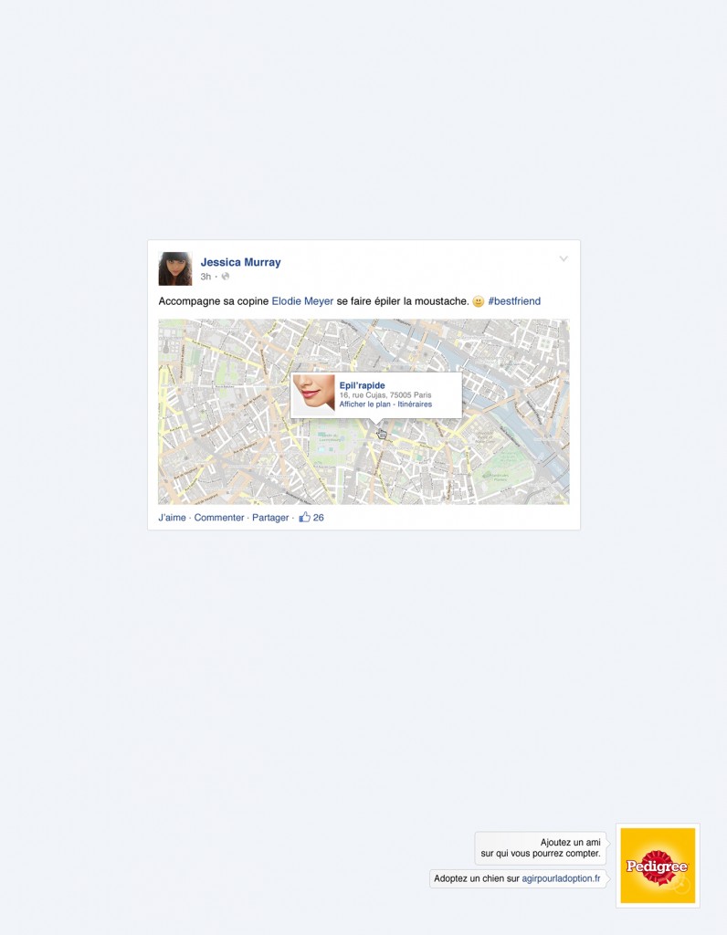 pedigree-publicite-marketing-facebook-reseaux-sociaux-ajoutez-un-ami-chiens-agence-clm-bbdo-4