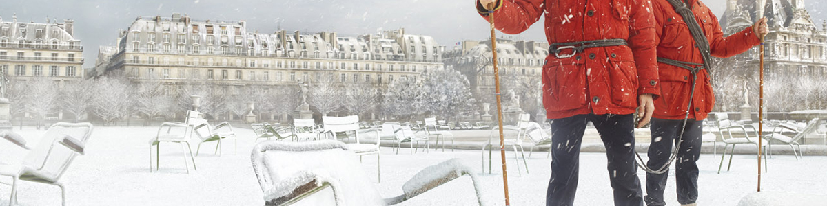 aigle-jardin-tuileries-paris-hiver-neige