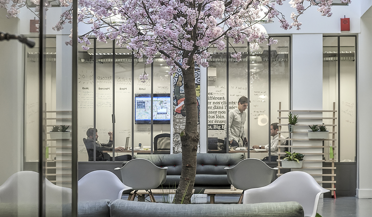 bureaux-agence-publicite-evenementiel-digital-les-pietons-jay-walker-paris-12