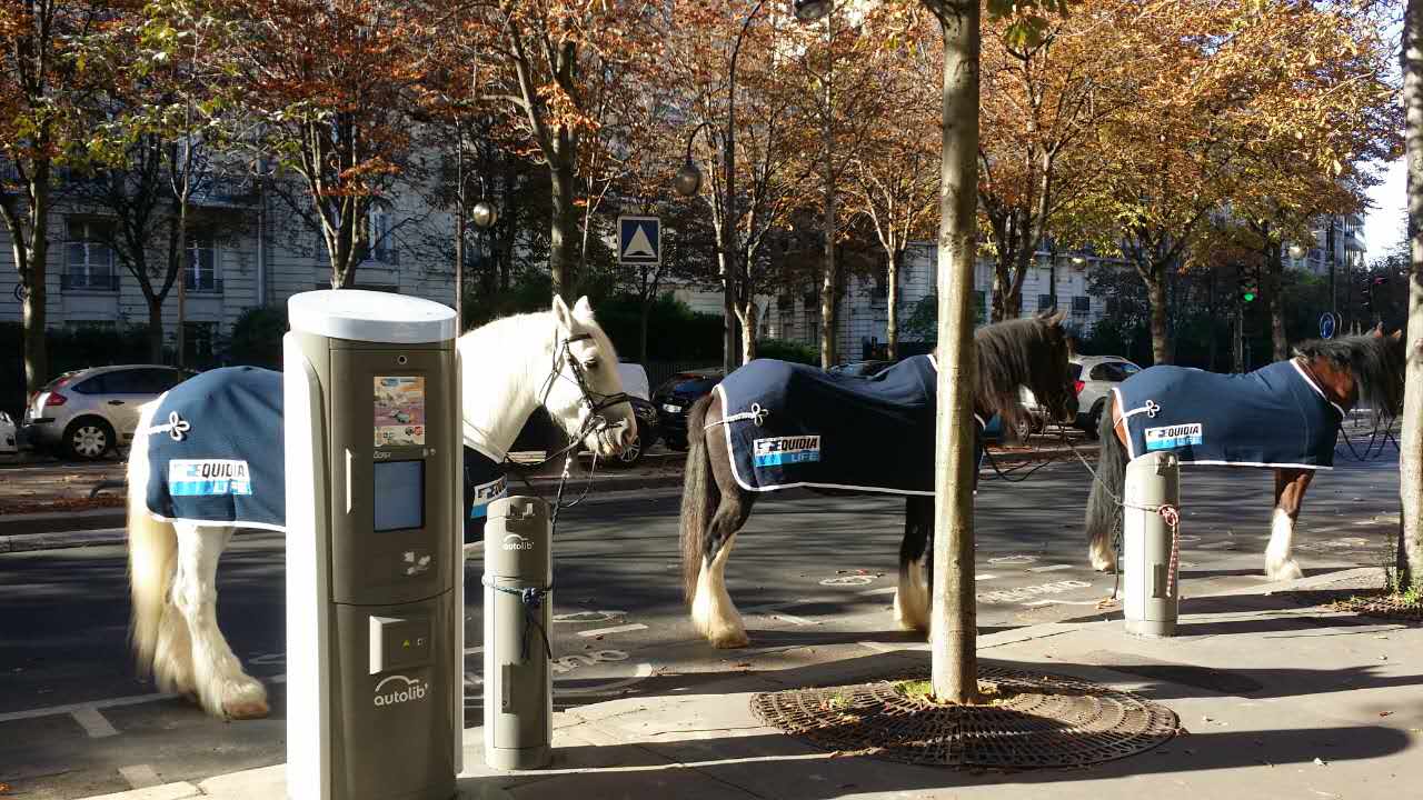 equidia-publicite-street-marketing-cheval-chevaux-hippique-paris-kids-love-jetlag-2