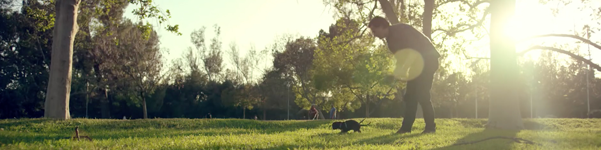 purina-commercial-puppyhood-most-viral-ads-2015