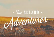 adland-adventures-ad-agency-agence-publicite-animal-animaux-sauvages