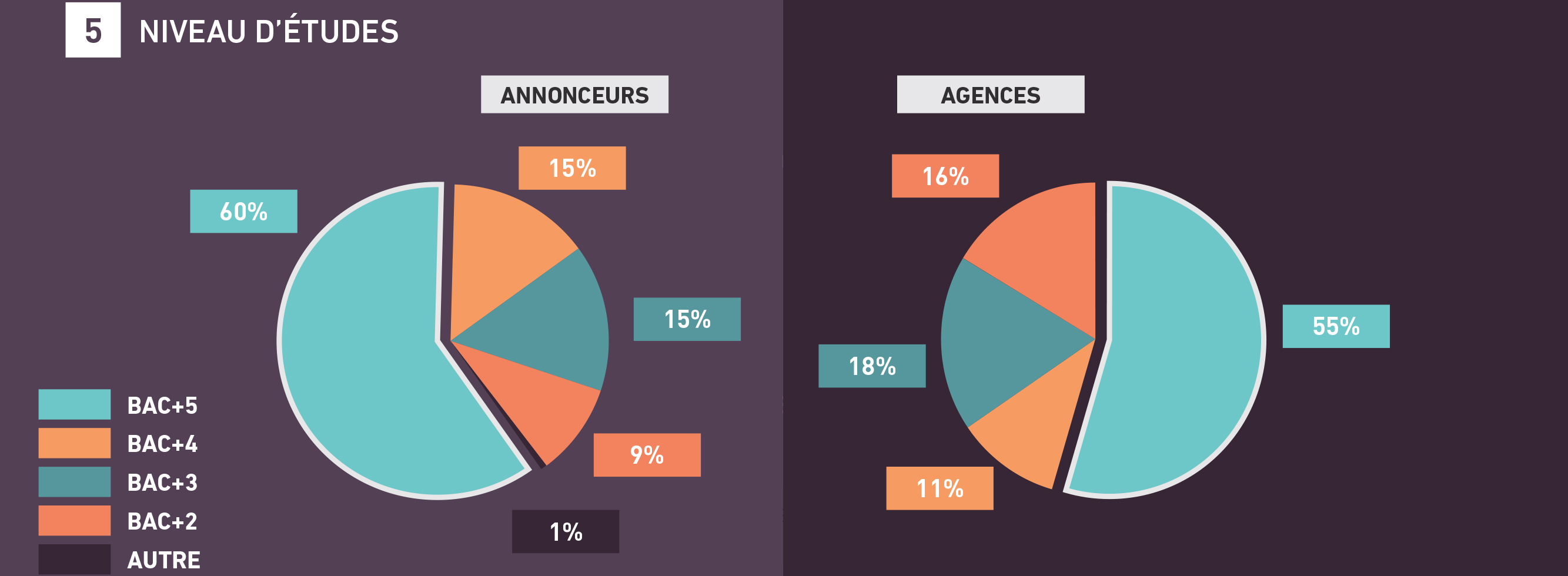 tendances-emploi-publicite-agences-annonceurs-barometre-metiers-communication-2018-sup-de-com-niveau-etudes