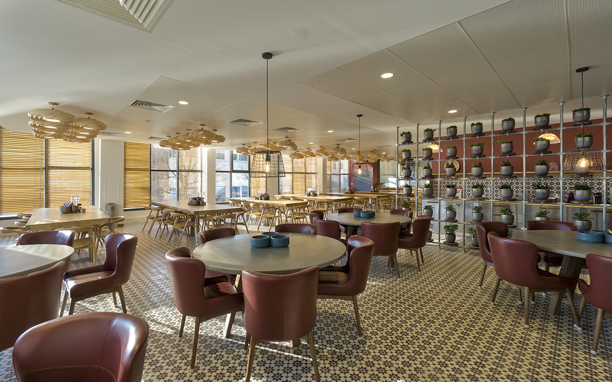 agence-serviceplan-france-plan-net-mediaplus-photos-bureaux-cantine-samanea-3