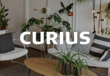 agence-curius-design-paris