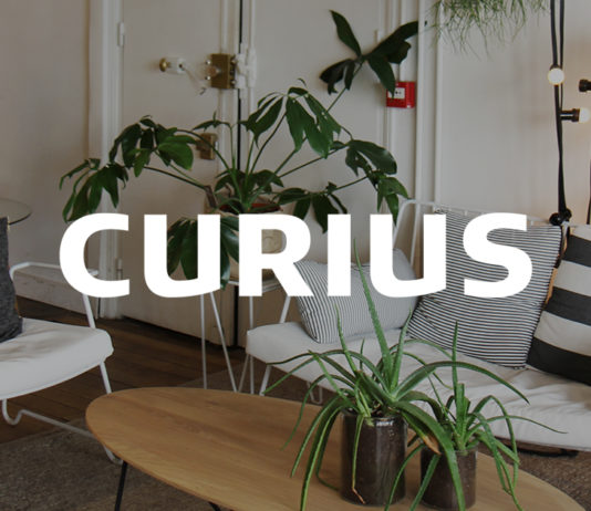 agence-curius-design-paris