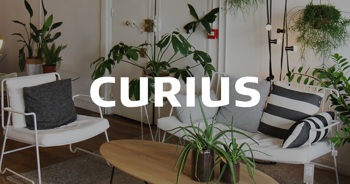 agence-curius-design-paris