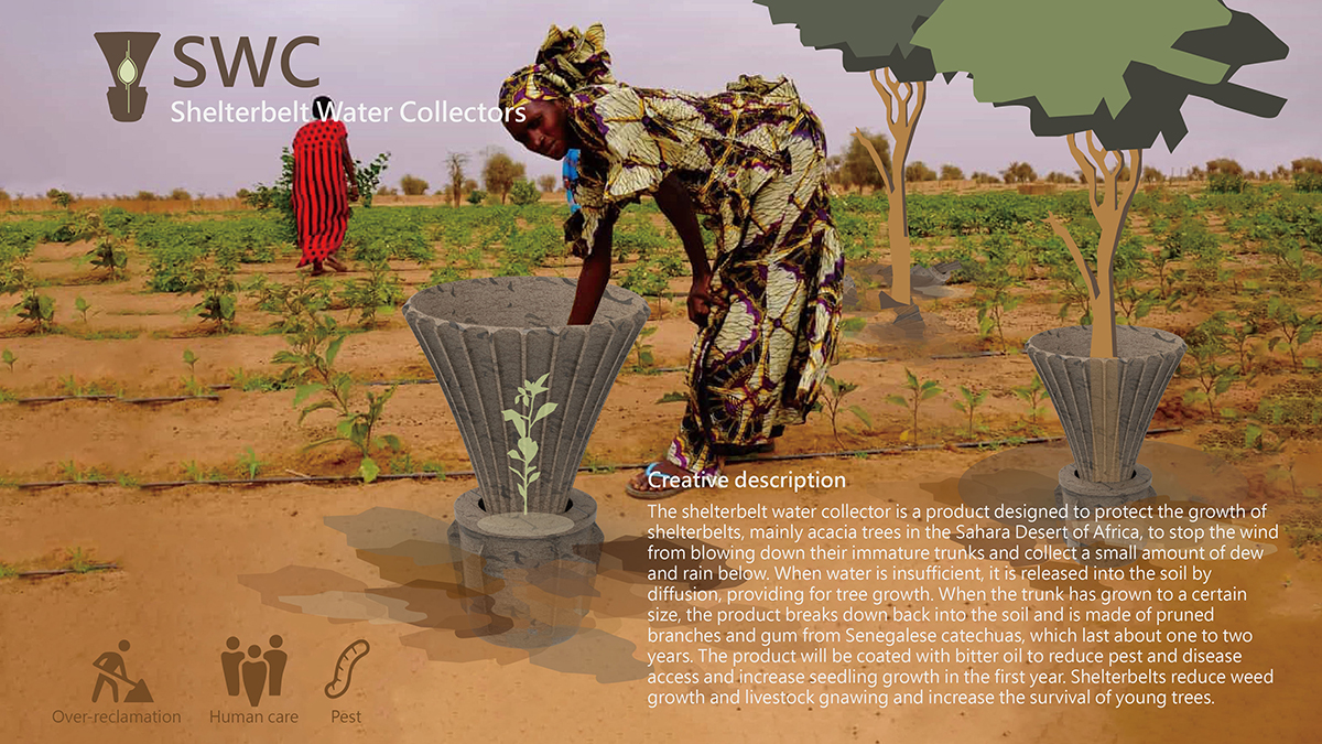 d and ad d&ad Future Impact White Pencil SWC Shelterbelt Water Collectors by Yin-Chi Liu Lin Sin-Yu Shu-Wei Chang