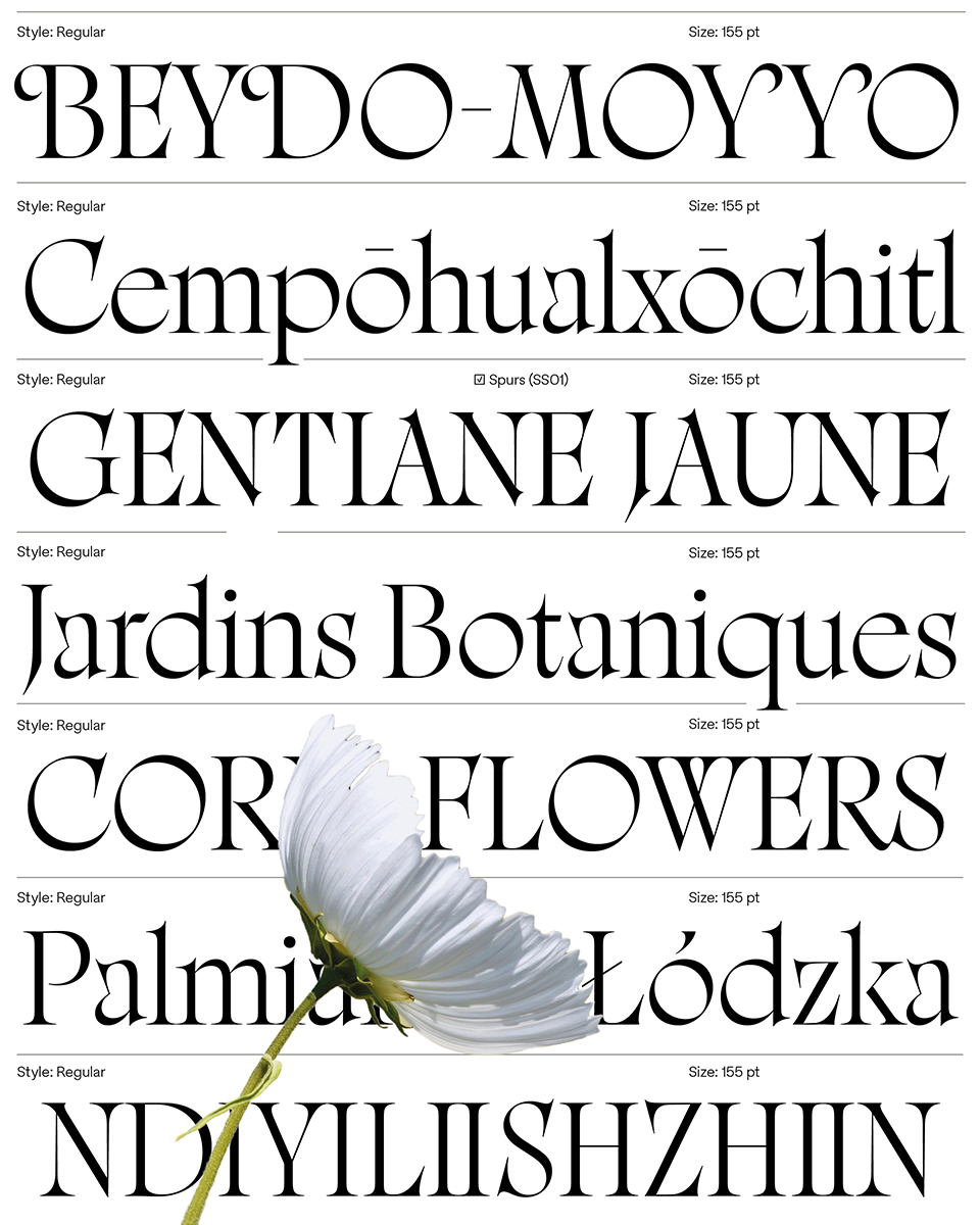 Rosalie font by My-Lan Thuong ADC Awards 2025 typography lettering