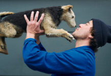 Interview – Thierry Albert: “Independence is the future of creativity” Thierry Albert Albert Creative Studio Amsterdam