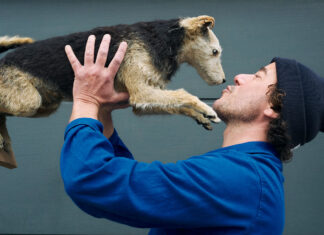 Interview – Thierry Albert: “Independence is the future of creativity” Thierry Albert Albert Creative Studio Amsterdam