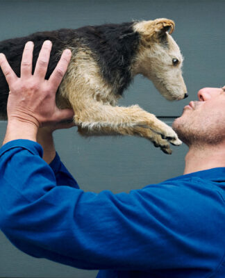 Thierry Albert Albert Creative Studio Amsterdam