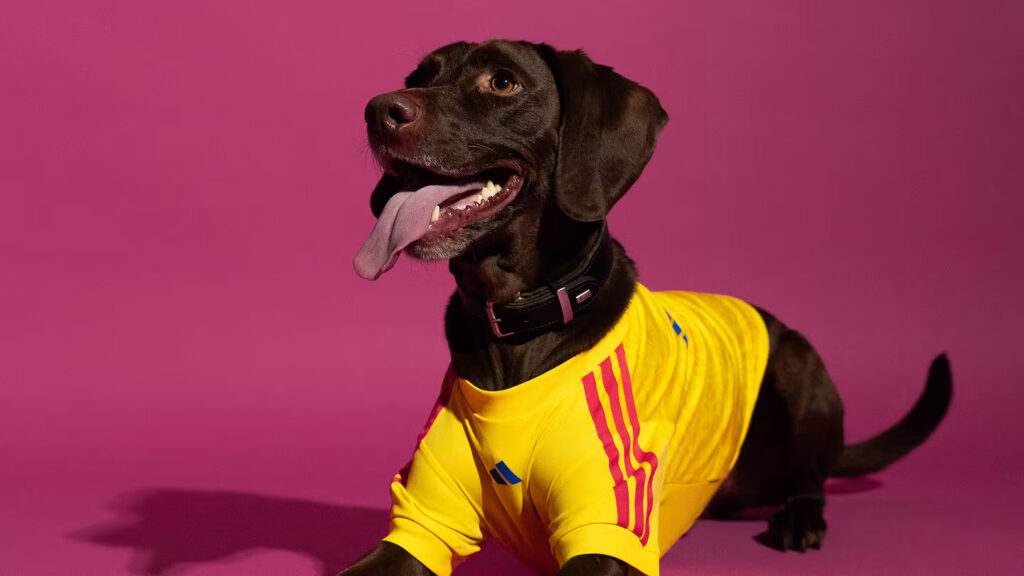 Adidas made World Cup pet jerseys to bring dogs into fan culture 
