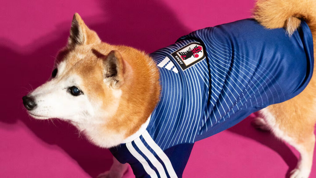 Adidas made World Cup pet jerseys to bring dogs into fan culture