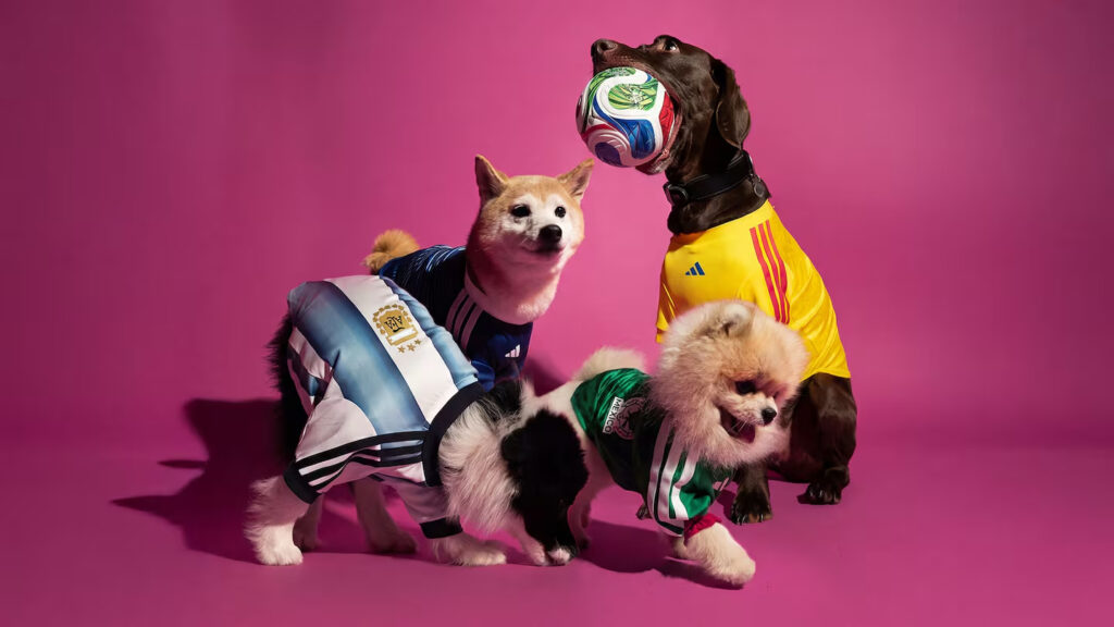 Adidas made World Cup pet jerseys to bring dogs into fan culture
