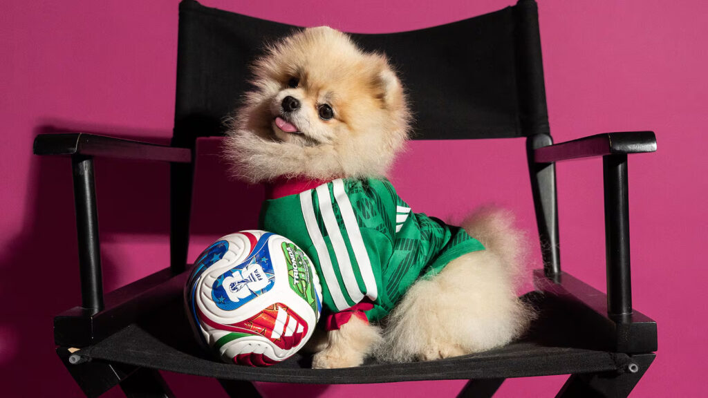 Adidas made World Cup pet jerseys to bring dogs into fan culture 