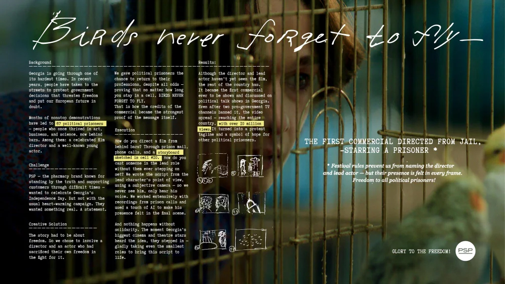 Cannes Lions 2026 PSP Birds Never Forget to Fly by Playmakers Tbilisi