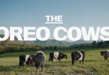 Oreo – The Oreo Cows: Unusual Celebration Of The Milk-Dunking Ritual OREO Cows by VML New York Mexico City