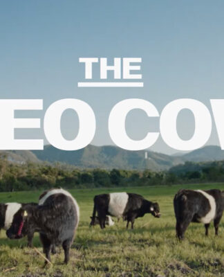 OREO Cows by VML New York Mexico City