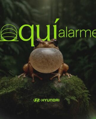 Hyundai - Coquí Alarmed
