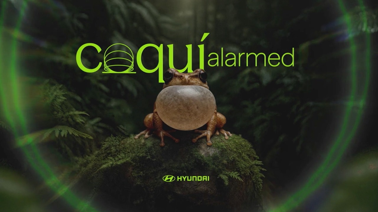 Hyundai - Coquí Alarmed